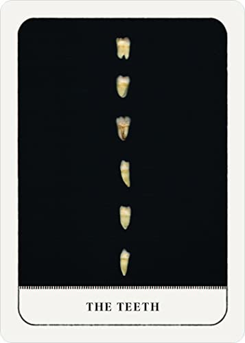 Gentle Chaos Pocket Oracle Deck