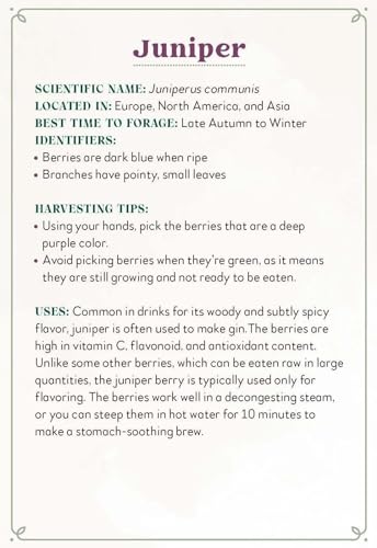 Enchanted Foraging Deck: 50 Plant Identification Cards to Discover Nature's Magic