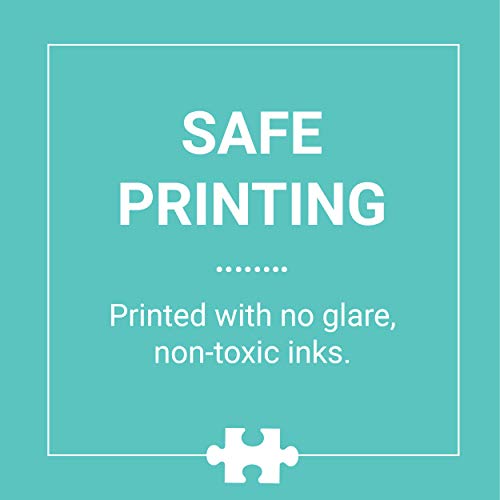 Michael Storrings A Day at The Bookstore 1000 Piece Puzzle