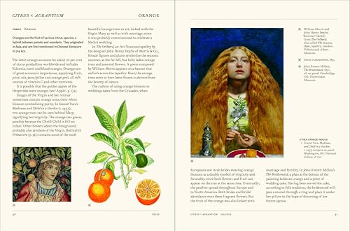 The Secret Language of Plants: Art, Nature & Symbolism