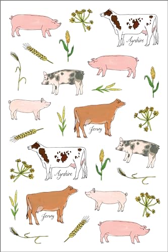 Farm Anatomy Sticker Book