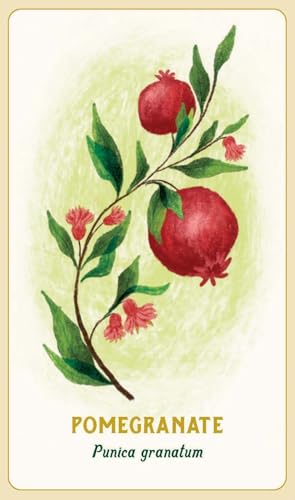 Forest Magic Oracle: A Deck and Guidebook for Green Witches