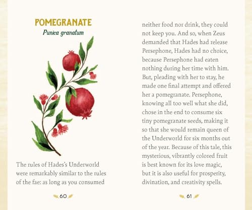 Forest Magic Oracle: A Deck and Guidebook for Green Witches