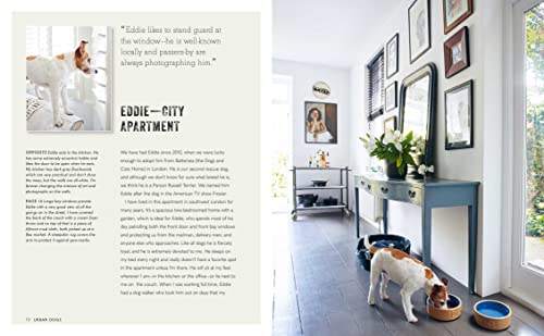 Cool Dogs, Cool Homes: Living in style with your pet pooch