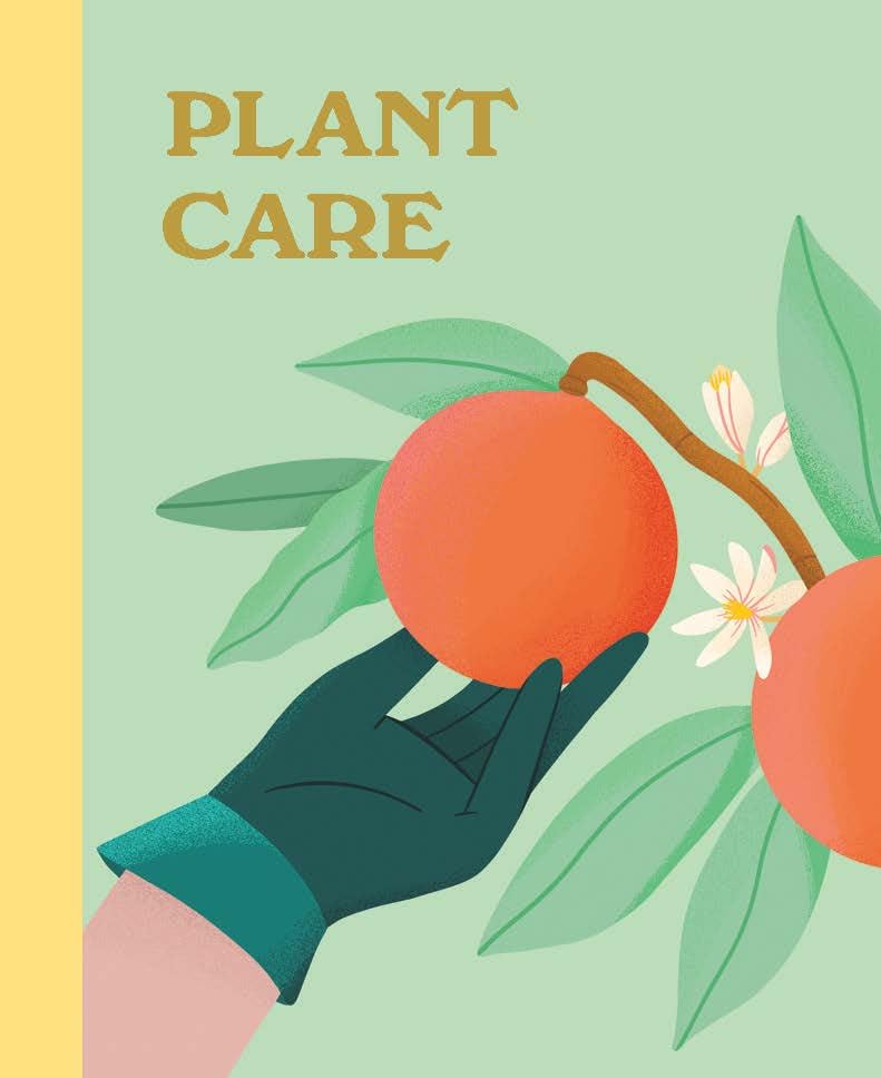 Plant Lover's Box Set: 3 beginner-friendly miniature books