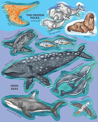 Creatures of the Ocean Sticker Poster