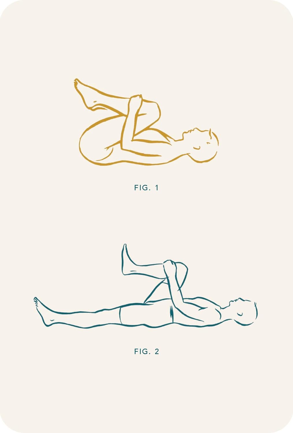 The Yoga Deck (Updated Edition) - 50 Poses & Meditations for Body, Mind & Spirit