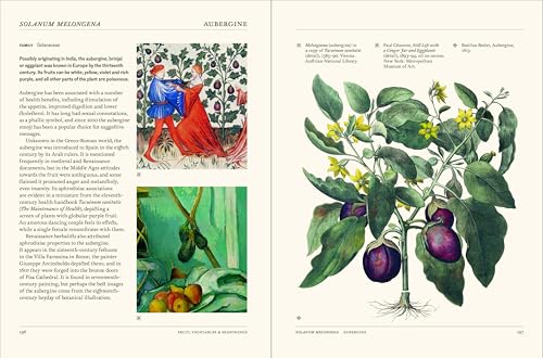 The Secret Language of Plants: Art, Nature & Symbolism