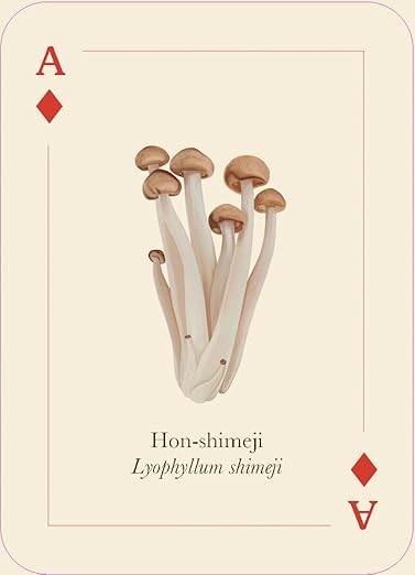 Mushrooms of the Wild