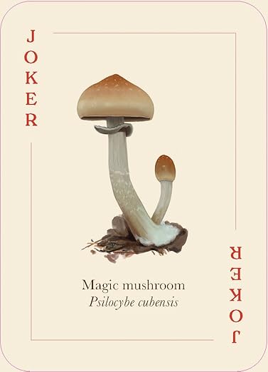 Mushrooms of the Wild