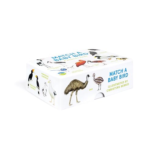 Match a Baby Bird: A Memory Game