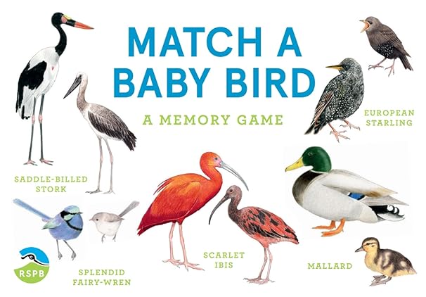 Match a Baby Bird: A Memory Game