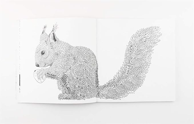 Nordic Wilderness: A Colouring Book