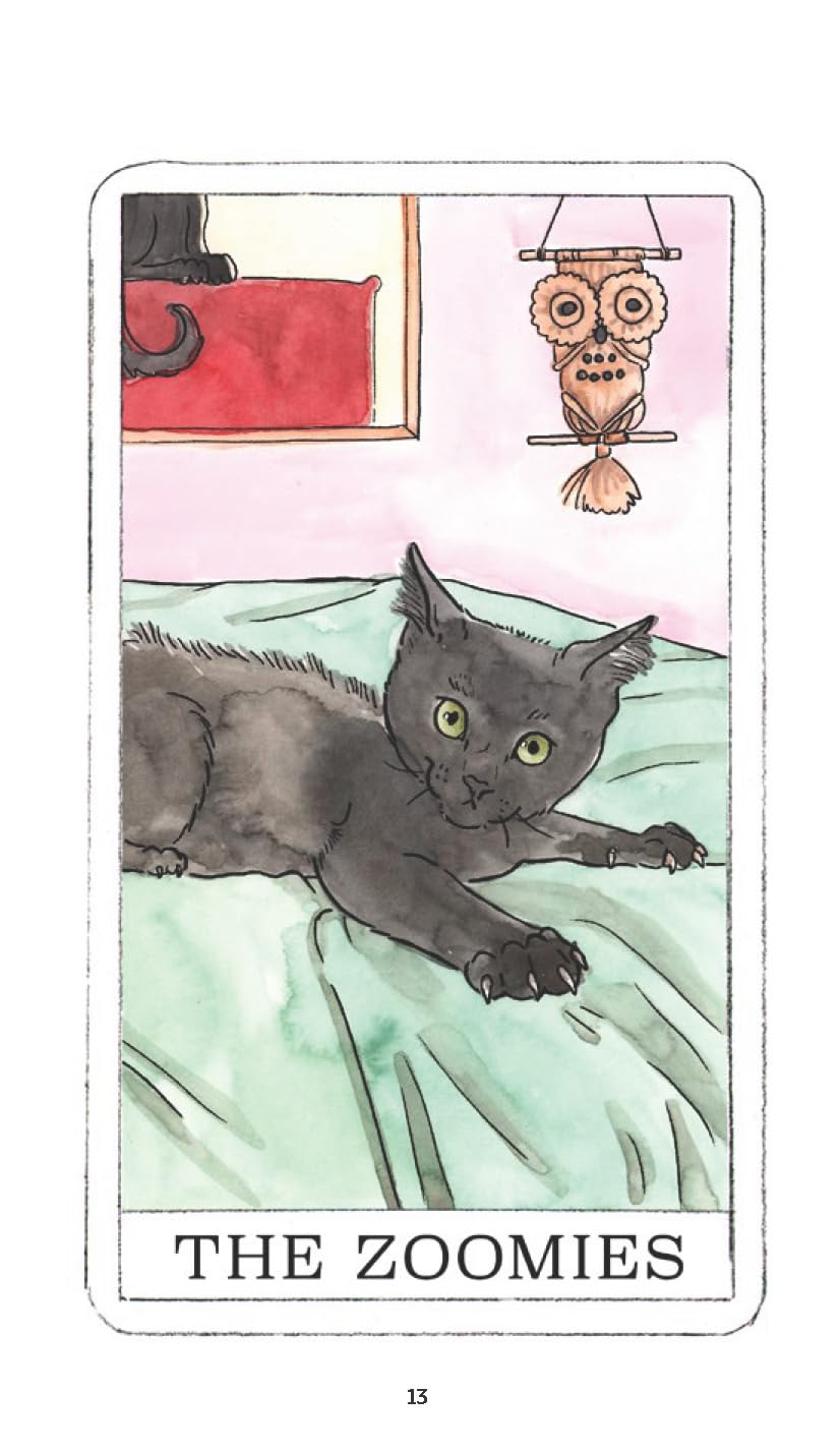 Kitten Oracle: 50 Cards & Guidebook
