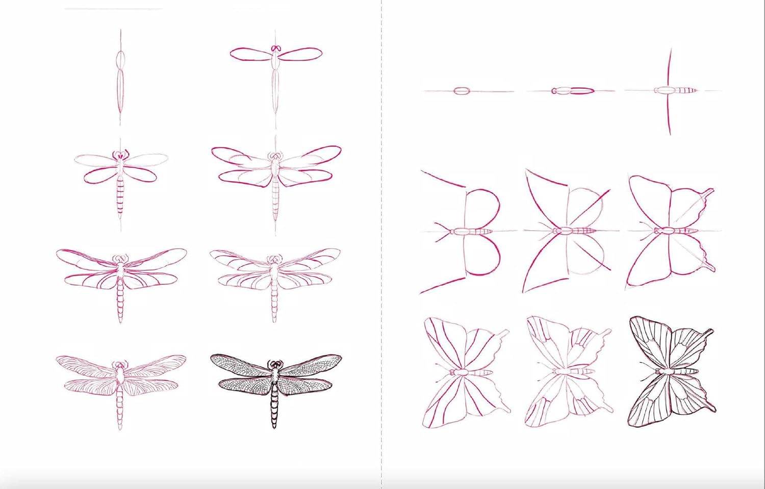 Draw 50 Animals: The Step-by-Step Way to Draw Elephants, Tigers, Dogs, Fish, Birds, and Many More...