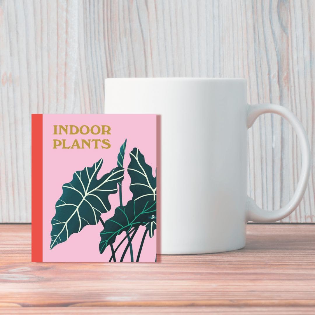 Plant Lover's Box Set: 3 beginner-friendly miniature books