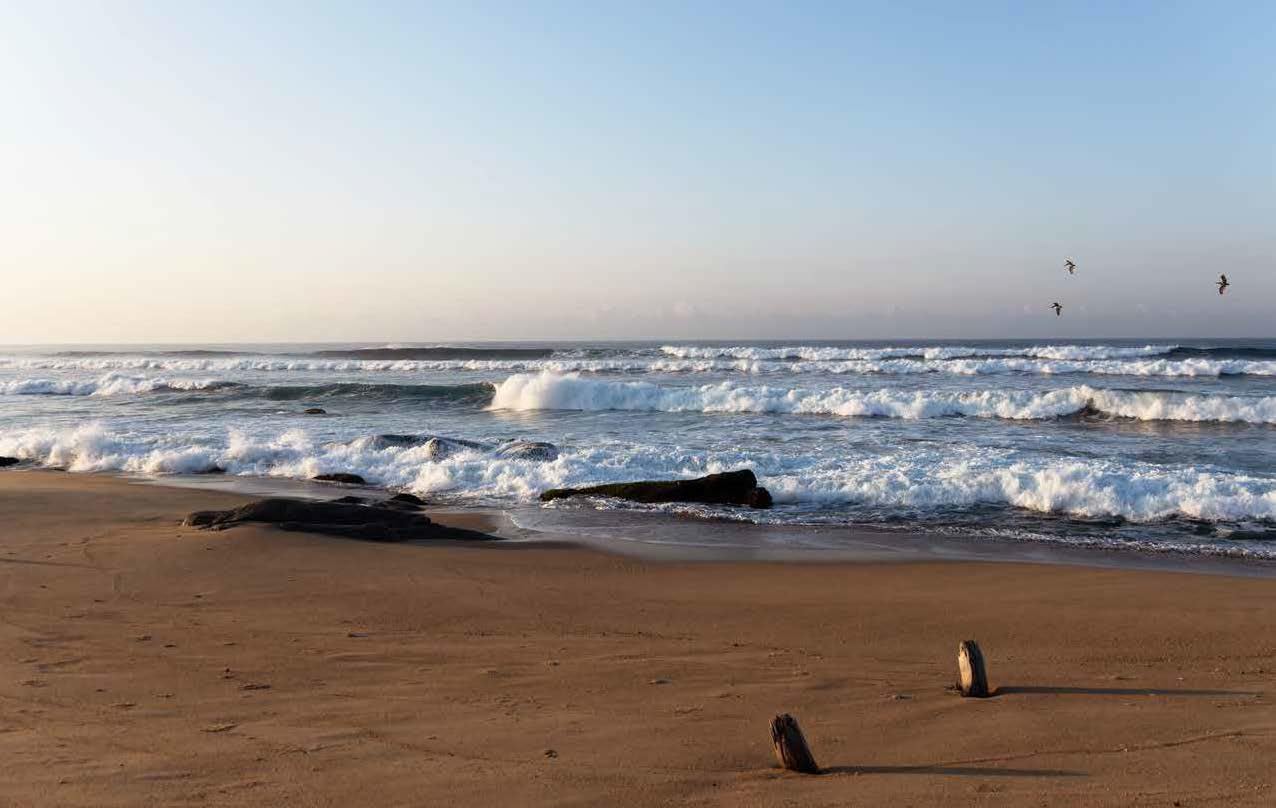 By the Sea: Inspiring Coastal Houses and Refuges