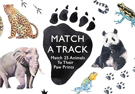 Match a Track: Match 25 Animals to Their Paw Prints