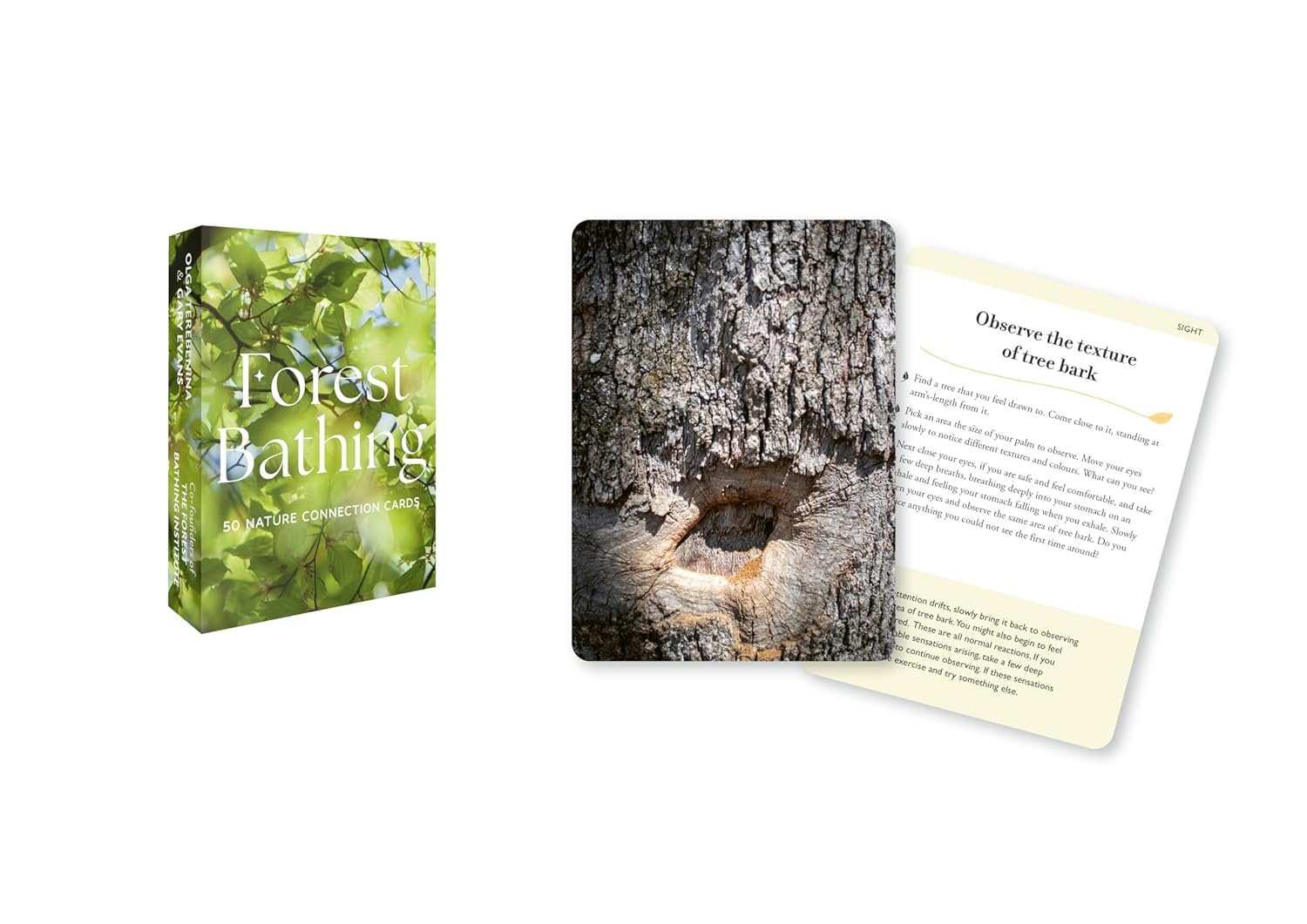 Forest Bathing: 50 nature connection cards