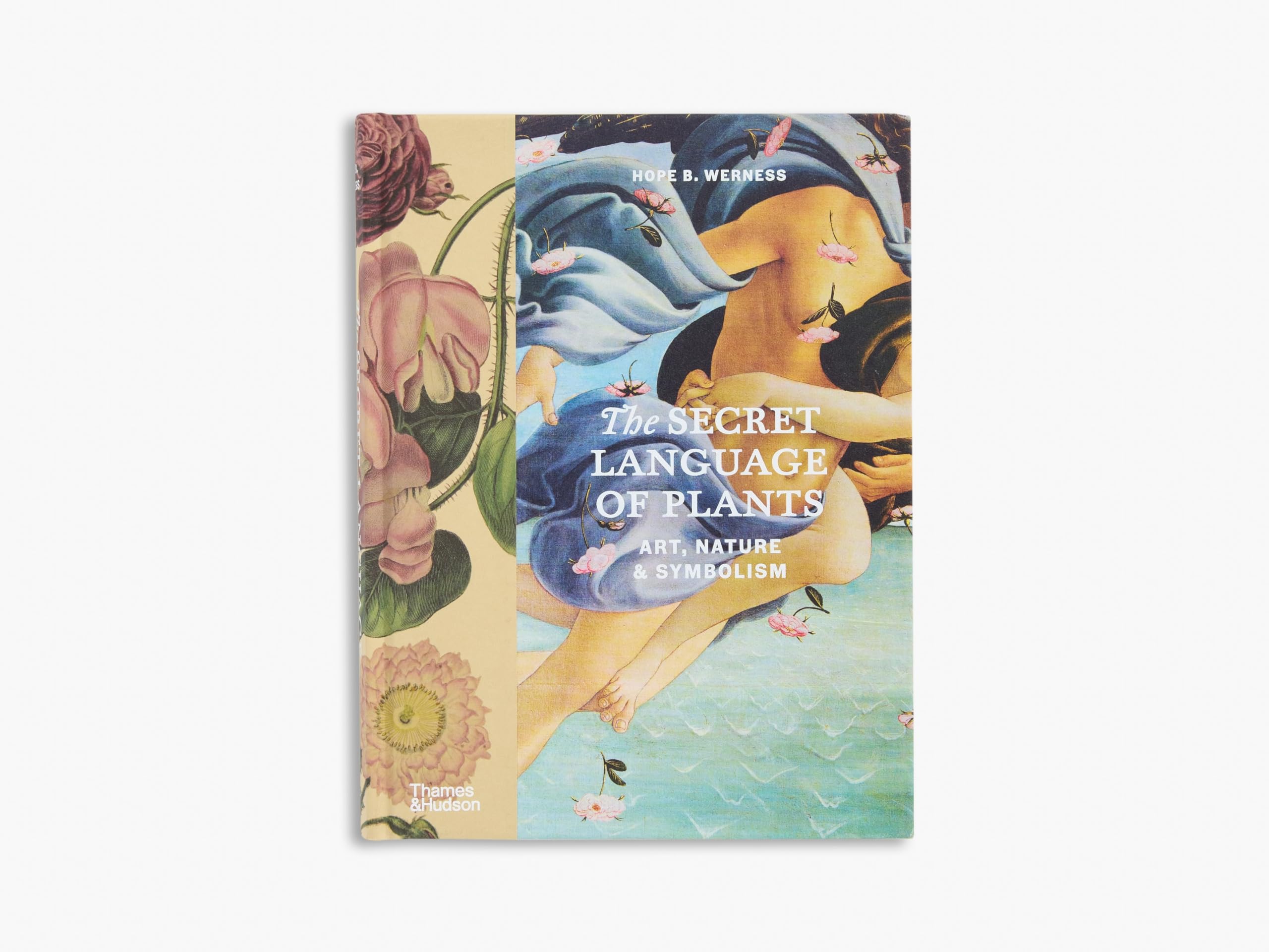 The Secret Language of Plants: Art, Nature & Symbolism