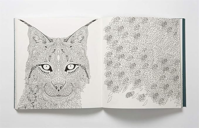 Nordic Wilderness: A Colouring Book