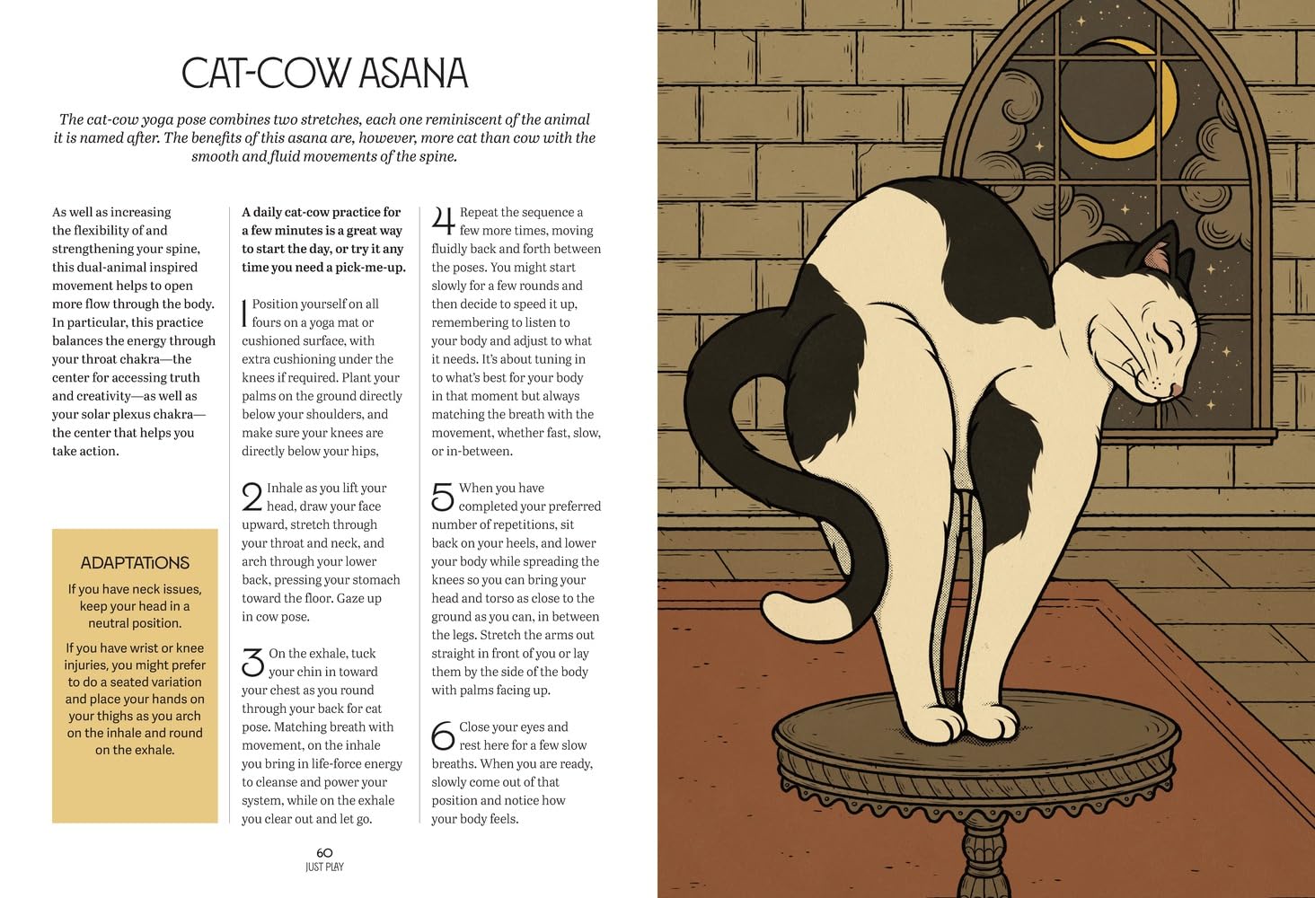 Mystic Kitty: A Cat's Guide to Meditation