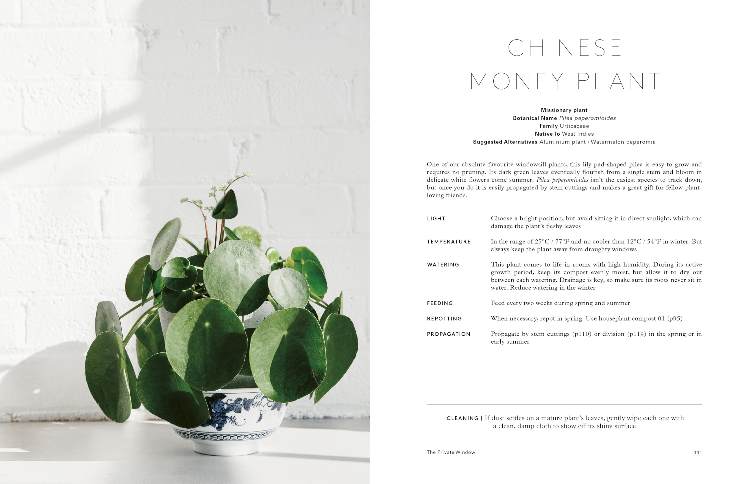 House of Plants: Living with tropical plants, succulents and cacti