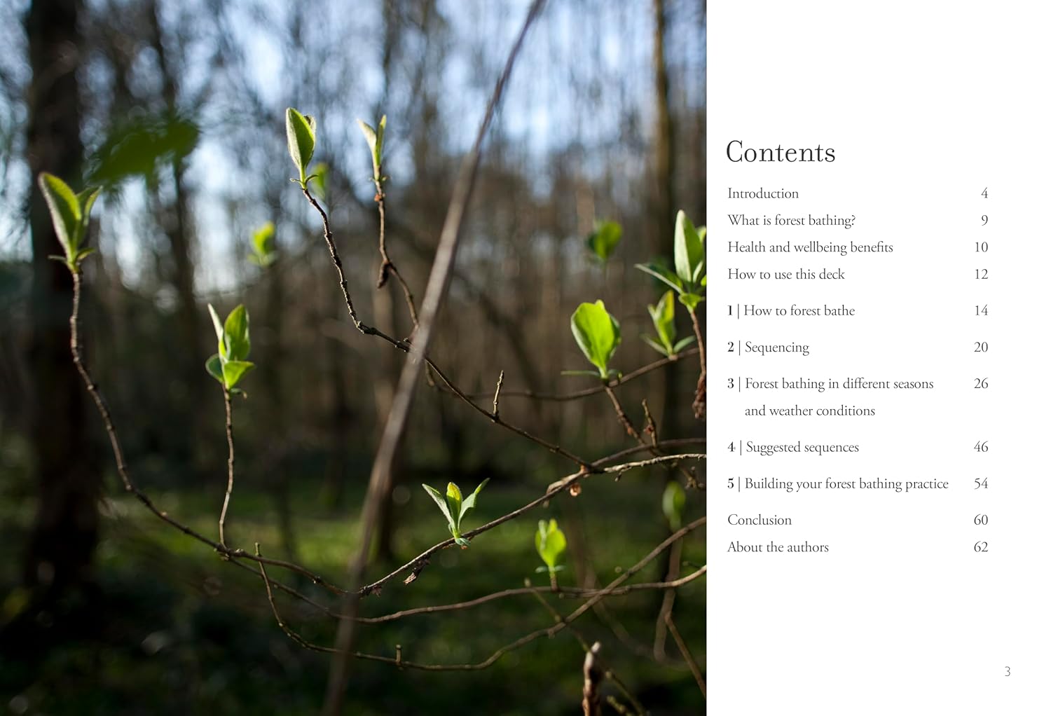 Forest Bathing: 50 nature connection cards