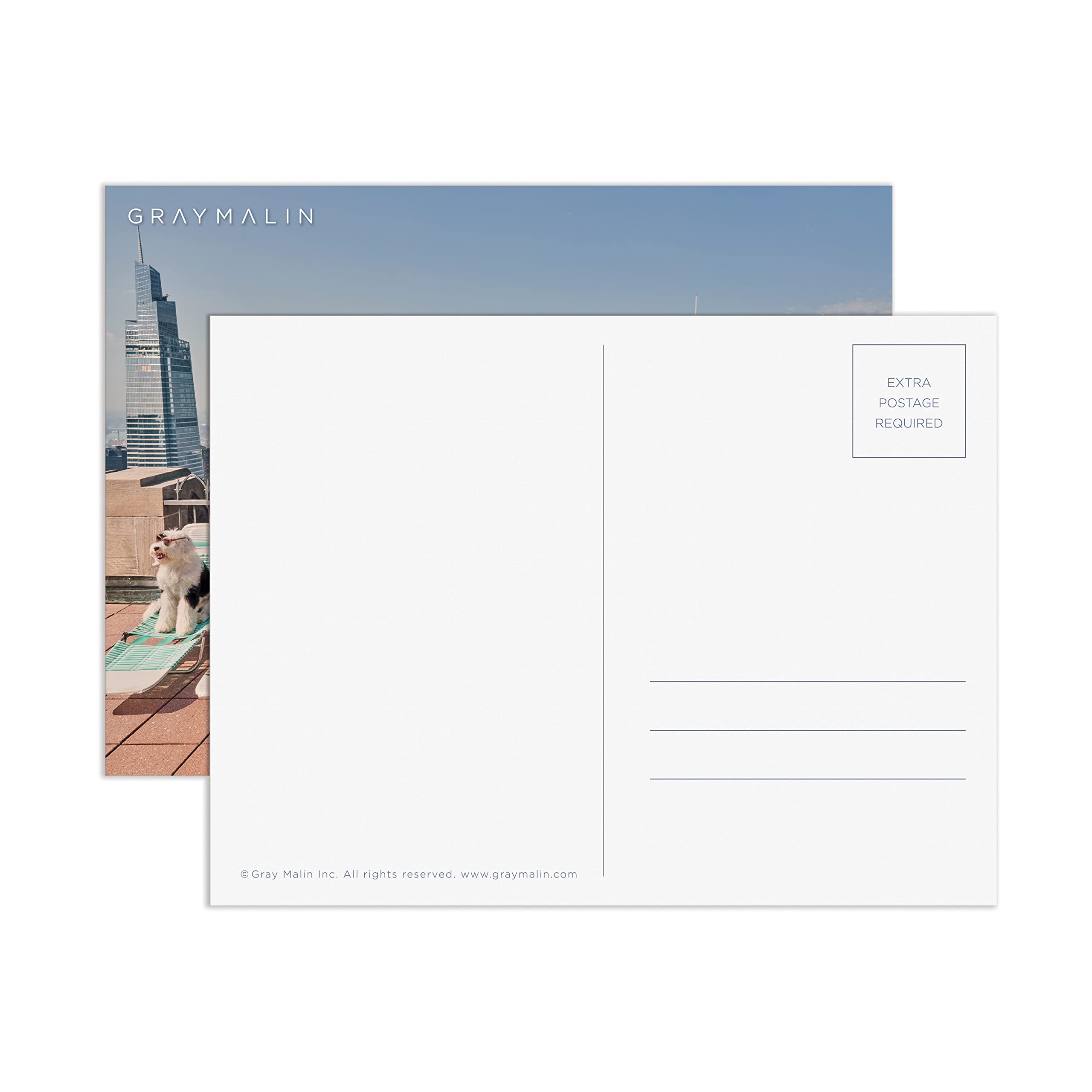 Gray Malin The Dogs of New York City 1000 Piece Puzzle