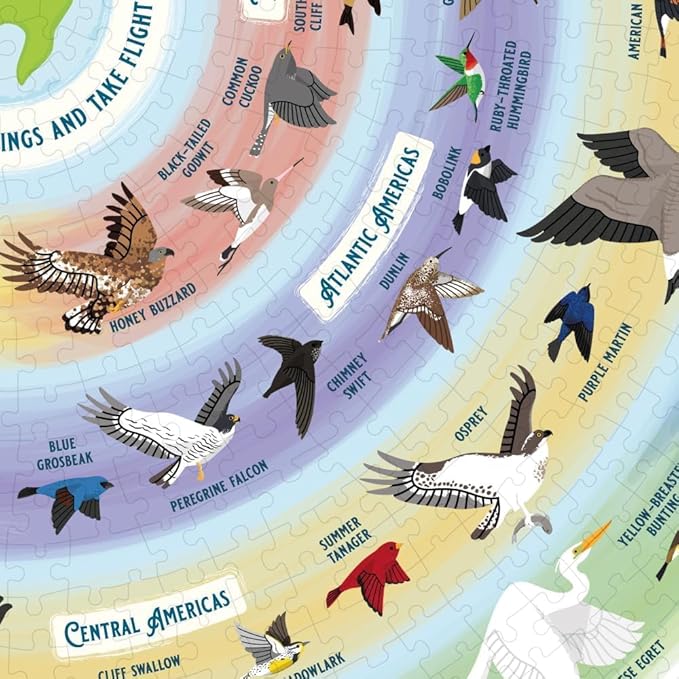 Bird Lover's 1000-Piece Jigsaw Puzzle