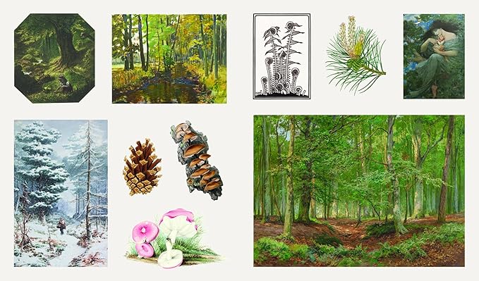 The Sticker Treasury of Woodland Adventures