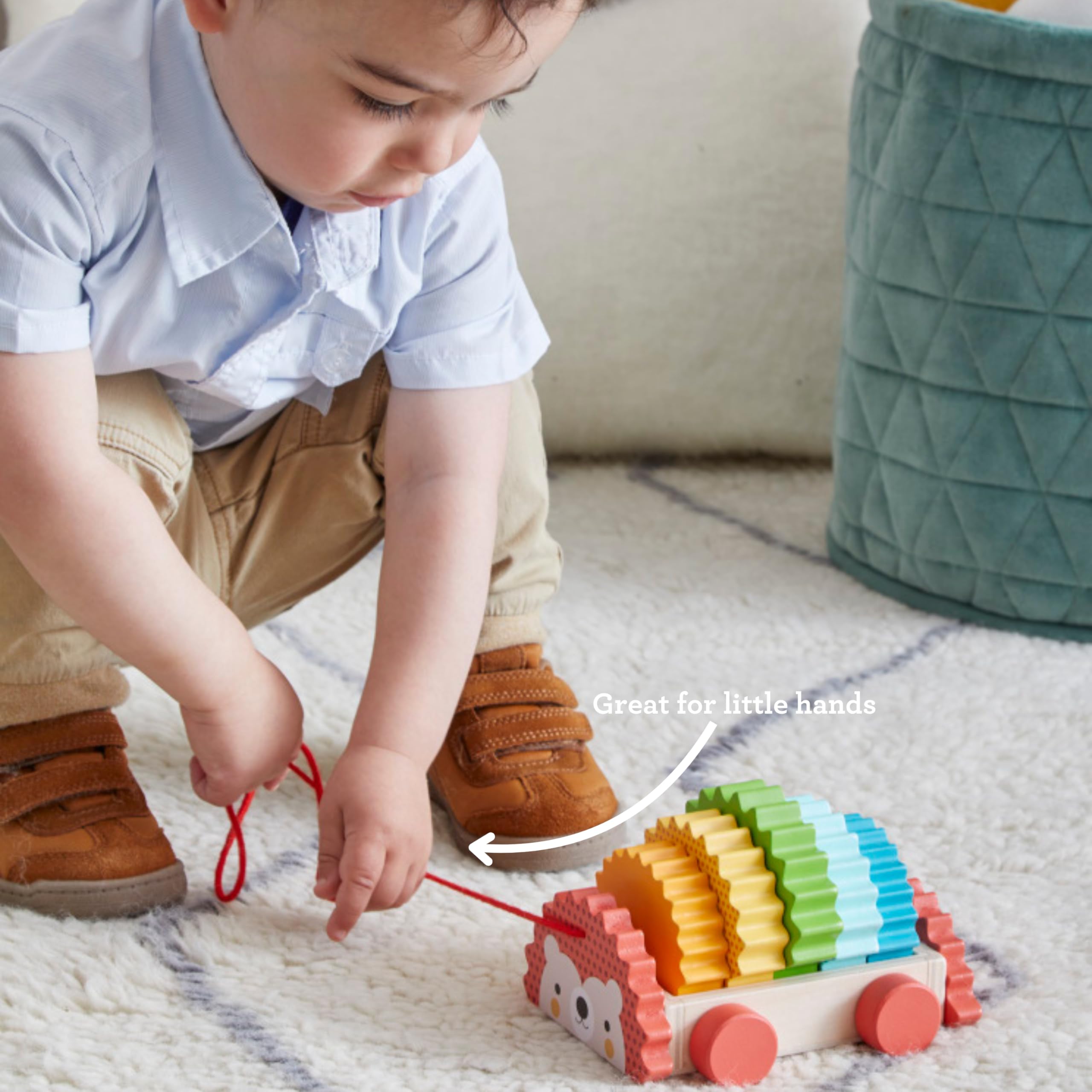 Rainbow Hedgehog Wooden Pull Toy