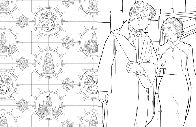 Harry Potter: Ravenclaw House Pride: The Official Colouring Book