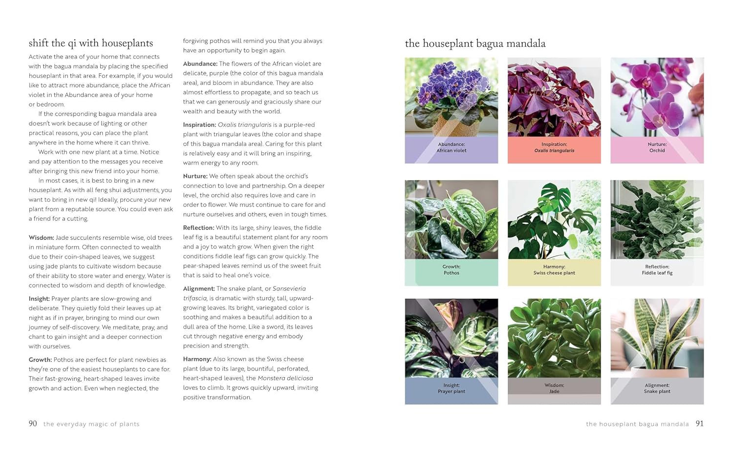 Mindful Living: A guide to the everyday magic of feng shui