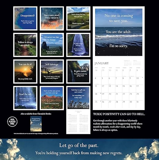 Disappointing Affirmations 2026 Wall Calendar