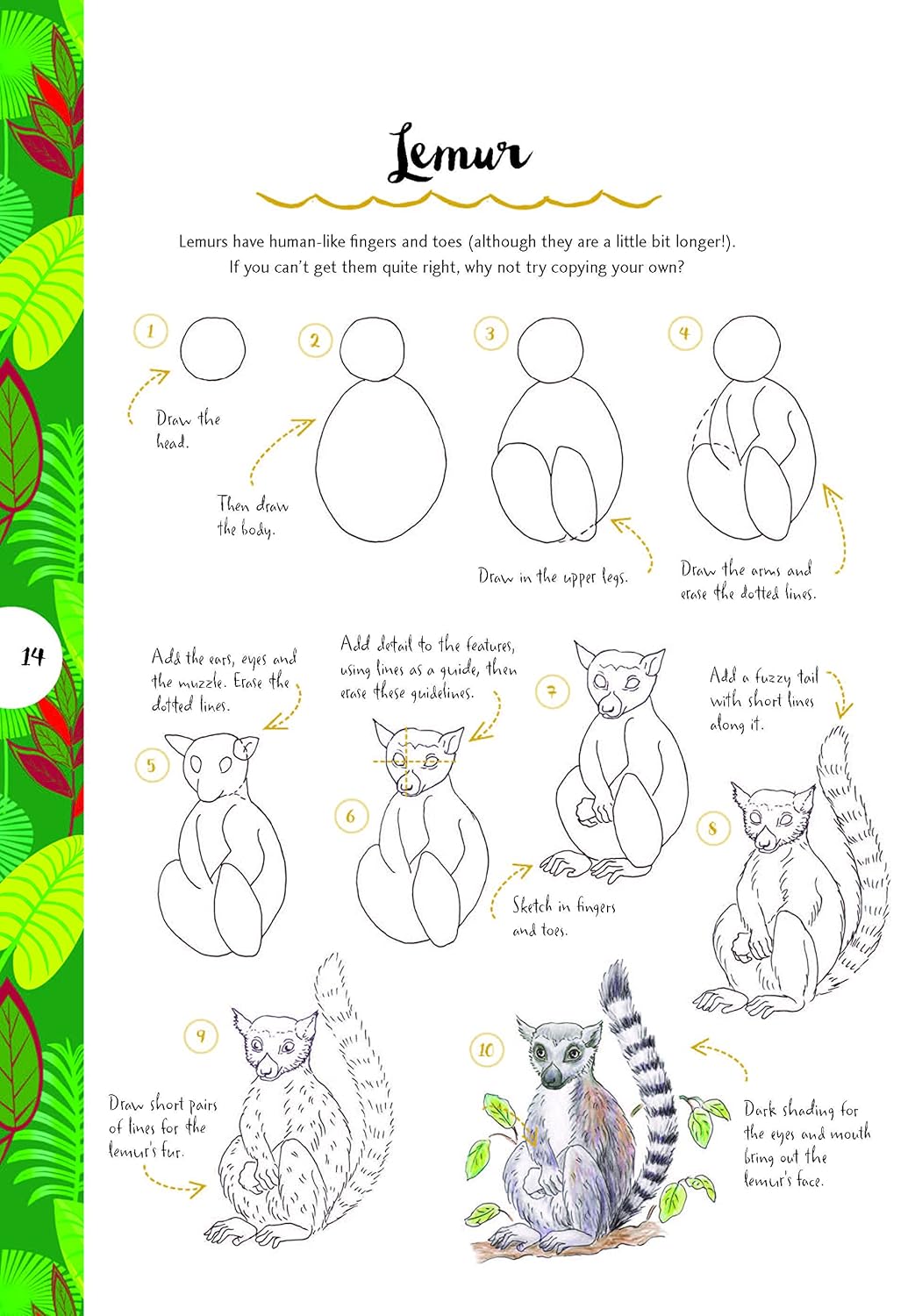 10 Step Drawing: Animals: Draw 75 animals in 10 easy steps