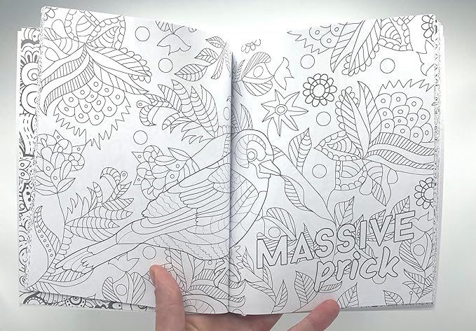 Colouring for C*nts: A Crude Colouring Book for Adults