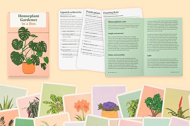 Houseplant Gardener in a Box: How to Care for Indoor Plants