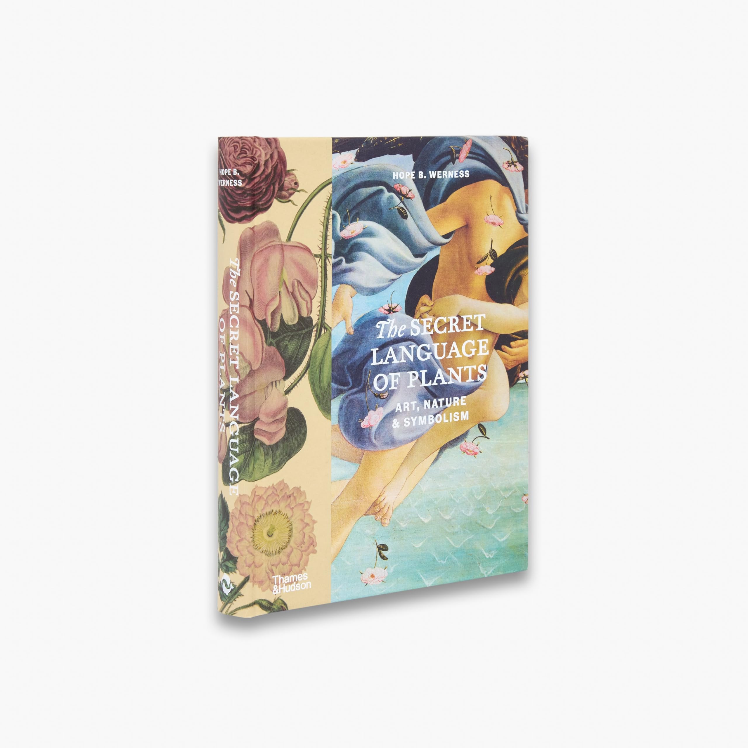 The Secret Language of Plants: Art, Nature & Symbolism