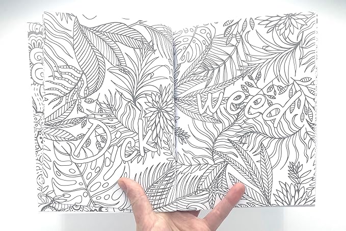 Colouring for C*nts: A Crude Colouring Book for Adults