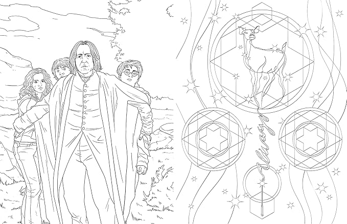 Harry Potter: Slytherin House Pride: The Official Colouring Book