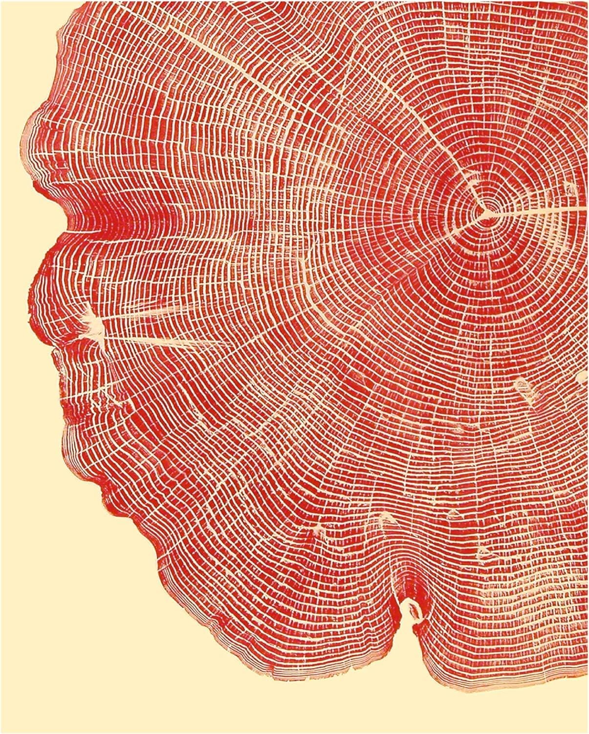 Woodcut Notecards: Notecards in box