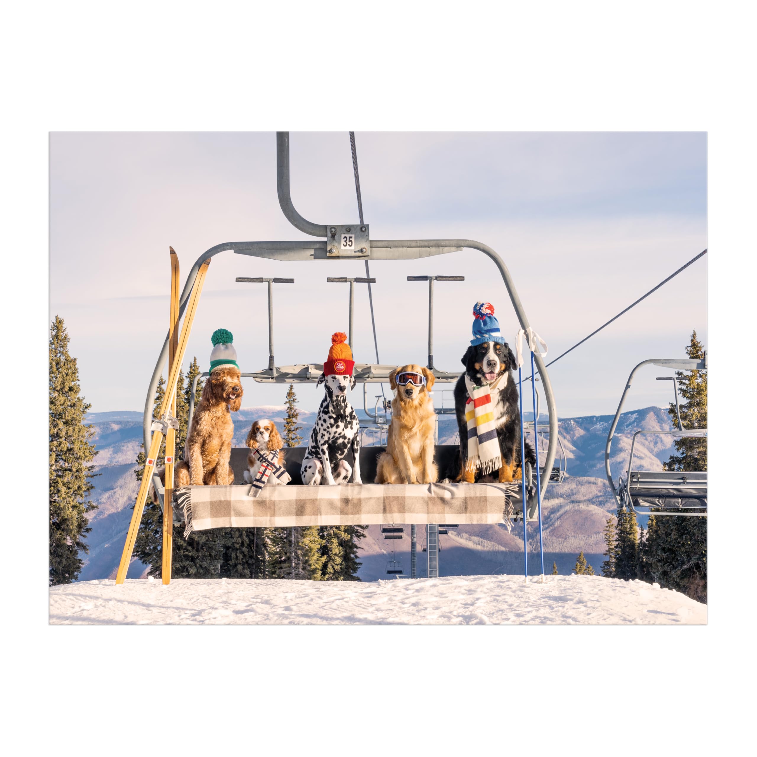 Gray Malin Aspen 1000 Piece Book Box Puzzle