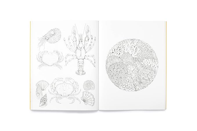 Leila Duly's Beautiful Planet: An Intricate Colouring Book