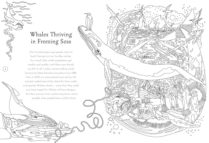 Return of the Wild Colouring Book