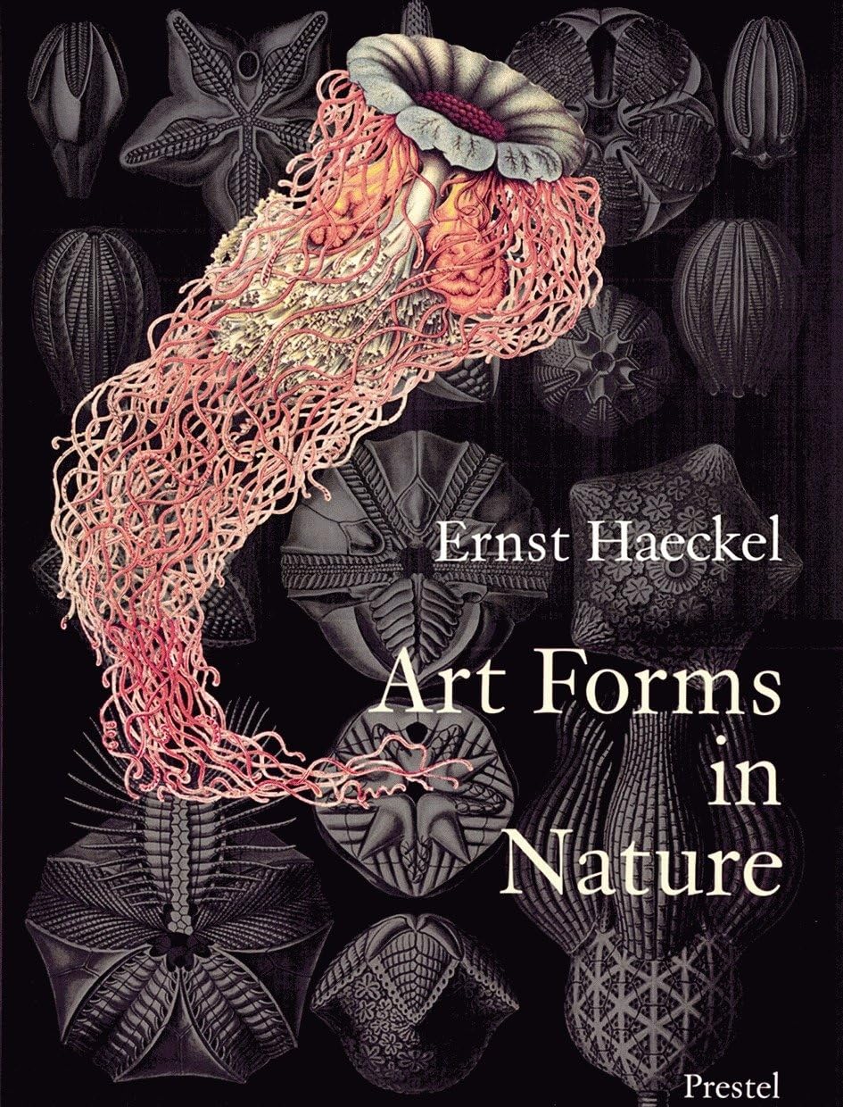 Art Forms in Nature: Prints of Ernst Haeckel