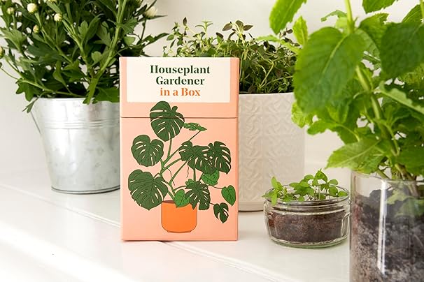 Houseplant Gardener in a Box: How to Care for Indoor Plants
