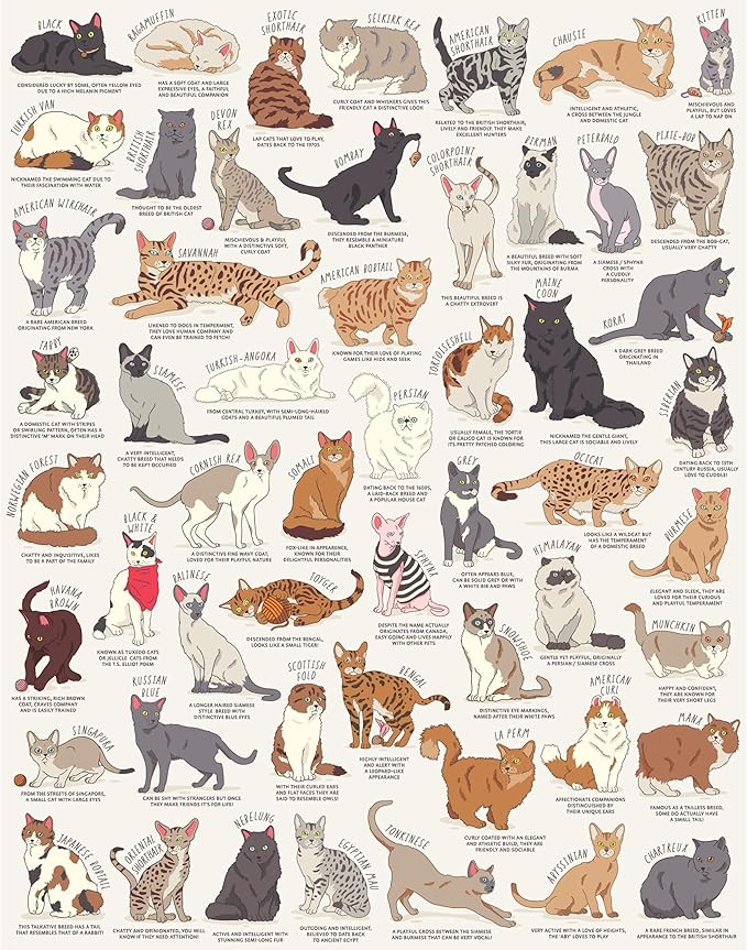 Ridley's Games JIG055 Cat Lover's 1000 Piece Jigsaw Puzzle, Multicoloured