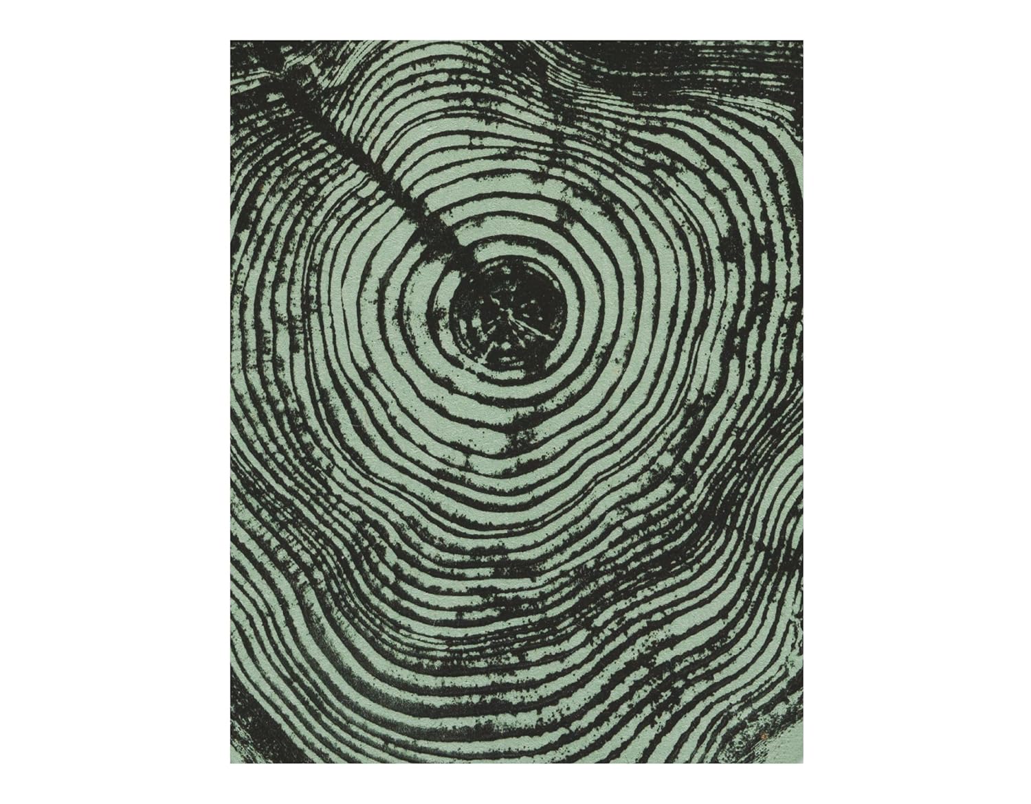 Woodcut Notecards: Notecards in box