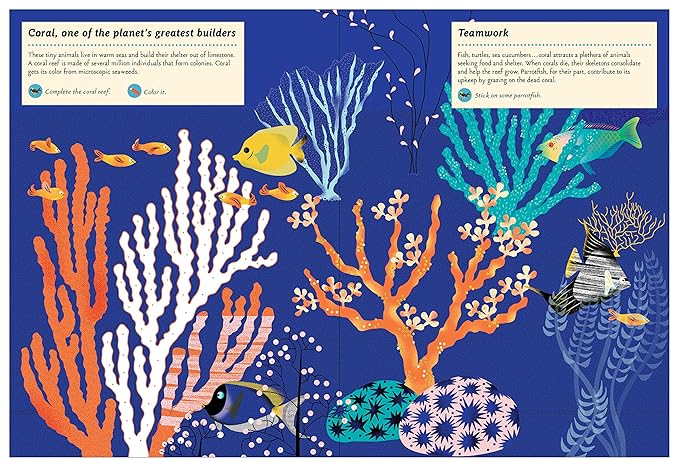 Inventive Animals: My Nature Sticker Activity Book: 1